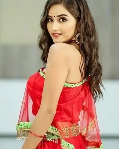 Escort In Solan